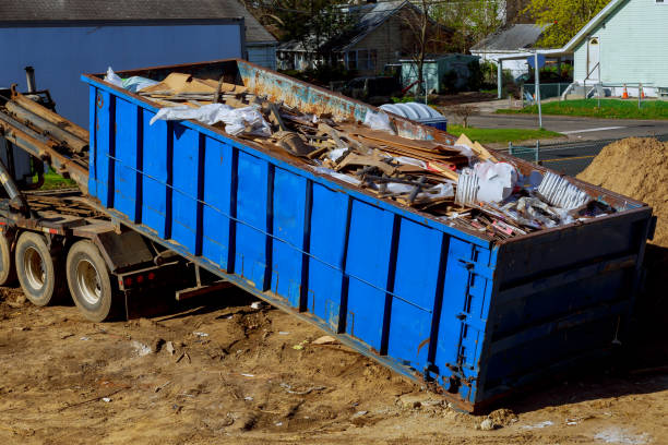 Best Shed Removal  in Bellevle, IL